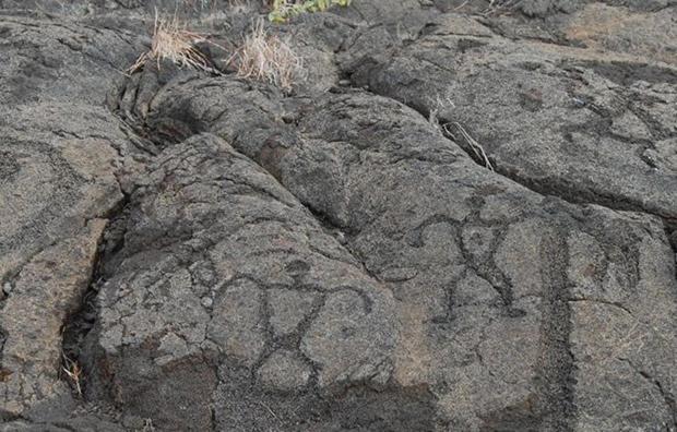 Volcano One - Modern Studio With Lanai Near Volcano National Park エクステリア 写真