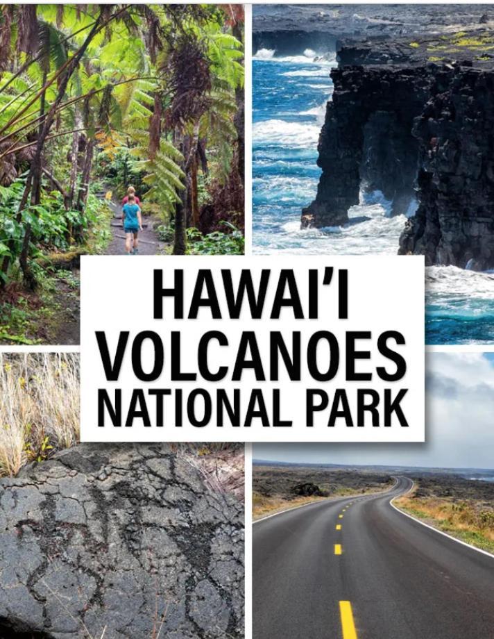 Volcano One - Modern Studio With Lanai Near Volcano National Park エクステリア 写真