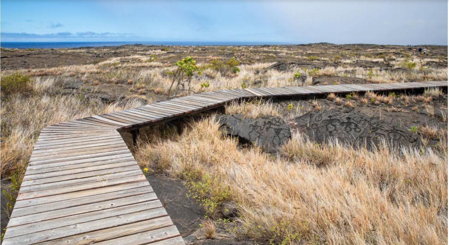 Volcano One - Modern Studio With Lanai Near Volcano National Park エクステリア 写真