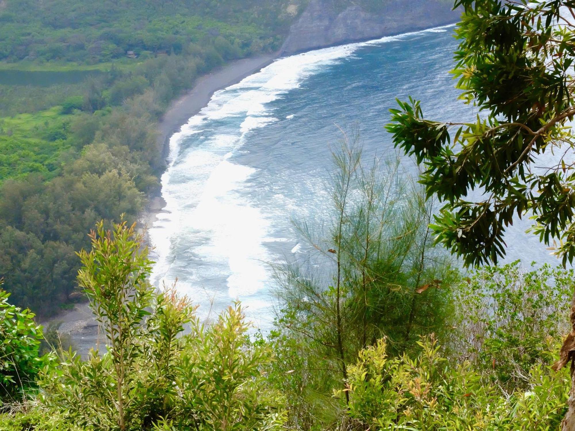 Volcano One - Modern Studio With Lanai Near Volcano National Park エクステリア 写真